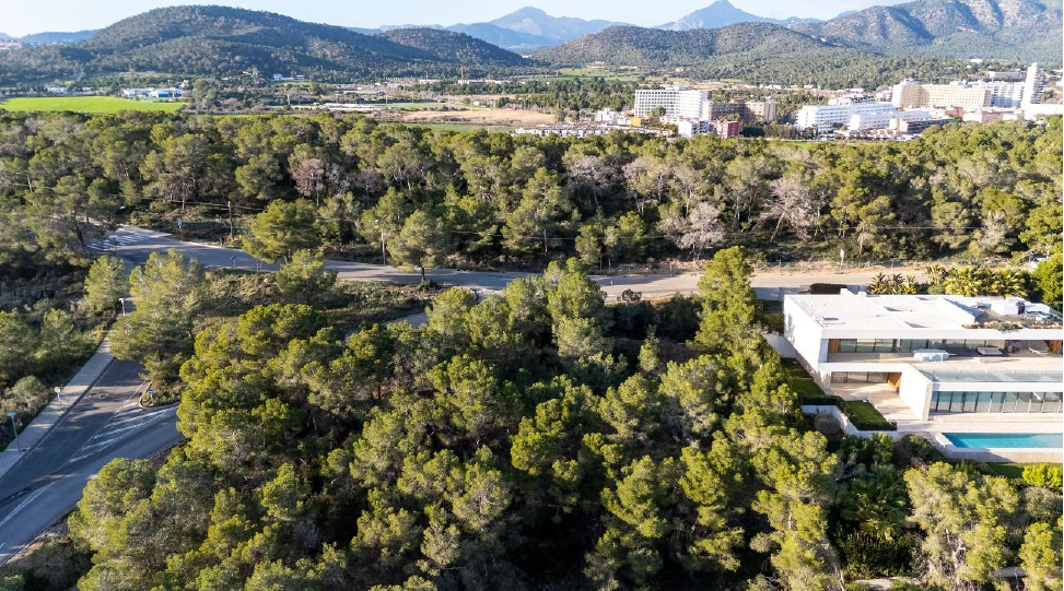 Immobilienangebot - Mallorca (Cala Vinyes) - Grundstücke - Exklusives Baugrundstück für freistehende Villa mit Meerblick in Cala Vinyes